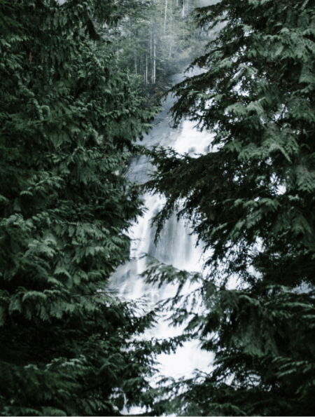 Waterfall behind trees