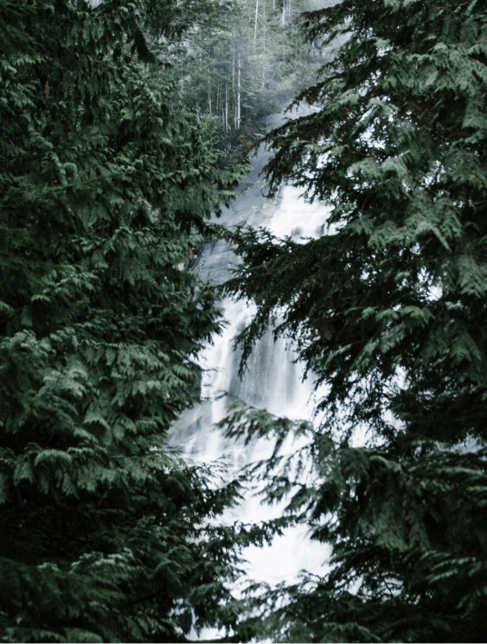 Waterfall behind trees