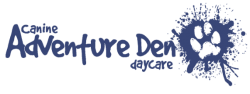 Logo for the Adventure Den doggy daycare