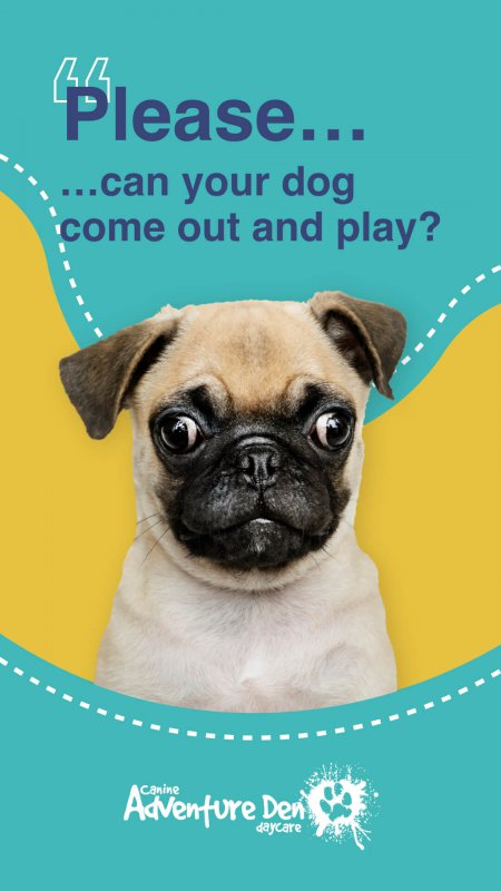 Example of advertising completed for Adventure Den