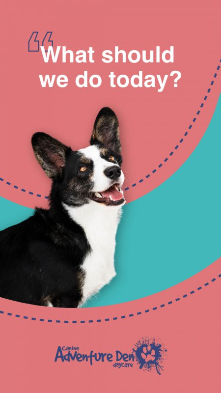 A social media advertisement for Adventure Den